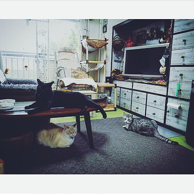 mntcさんの実例写真