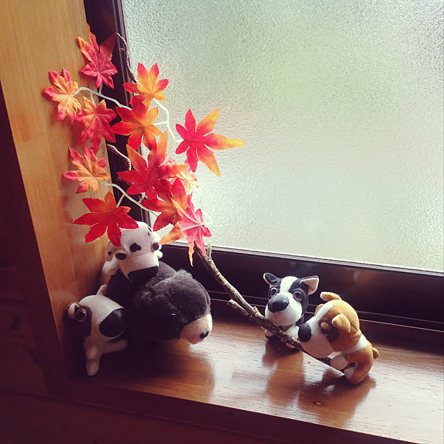 aoinokimiさんの実例写真