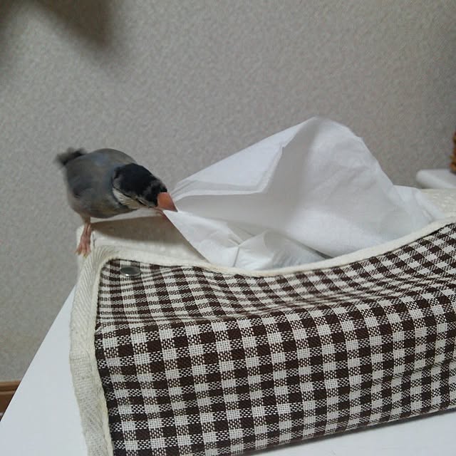 miiさんの実例写真