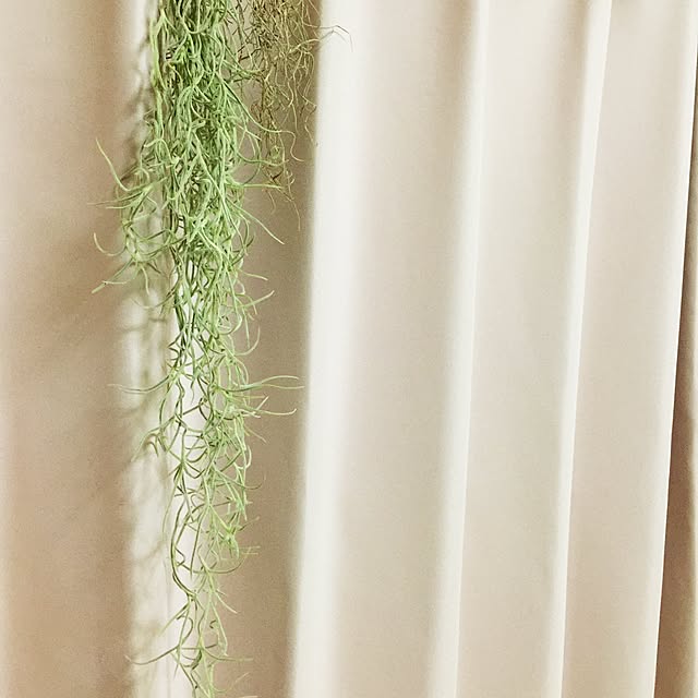 meguさんの実例写真