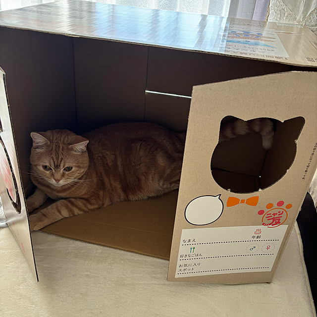 Atelier.mさんの部屋