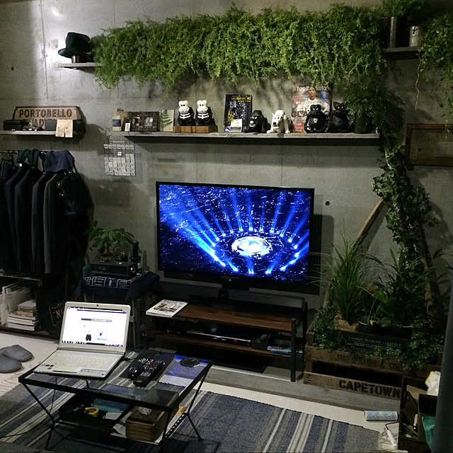 観葉植物/フェイクグリーン/DIY/一人暮らし/部屋全体のインテリア実例 - 2021-05-23 01:53:07