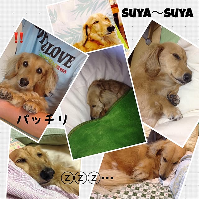ssmami0723さんの実例写真