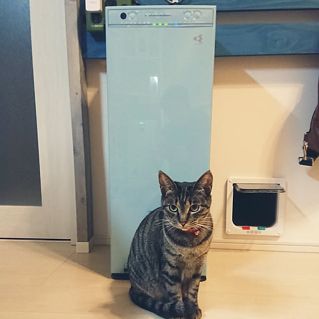 taka-kiさんの実例写真