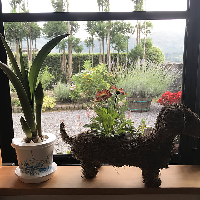 keikoさんの実例写真