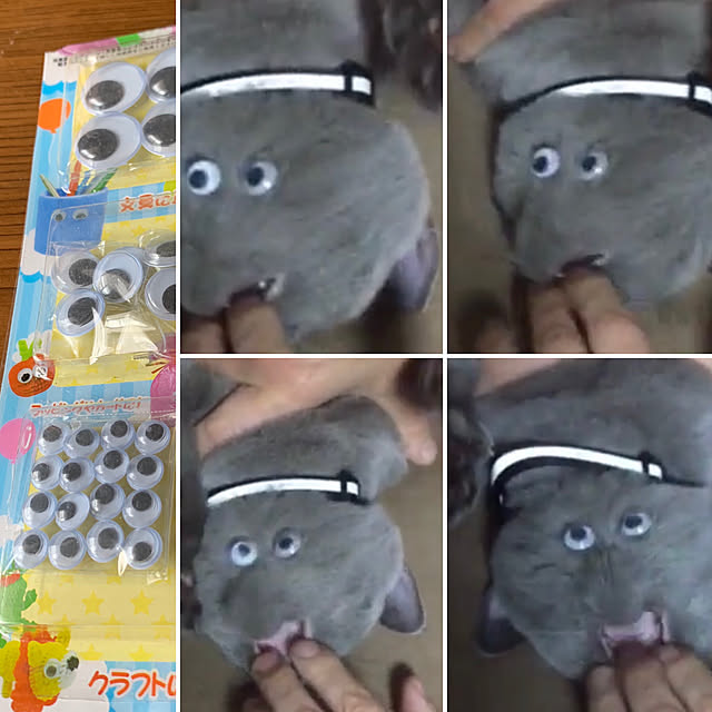 masaさんの実例写真
