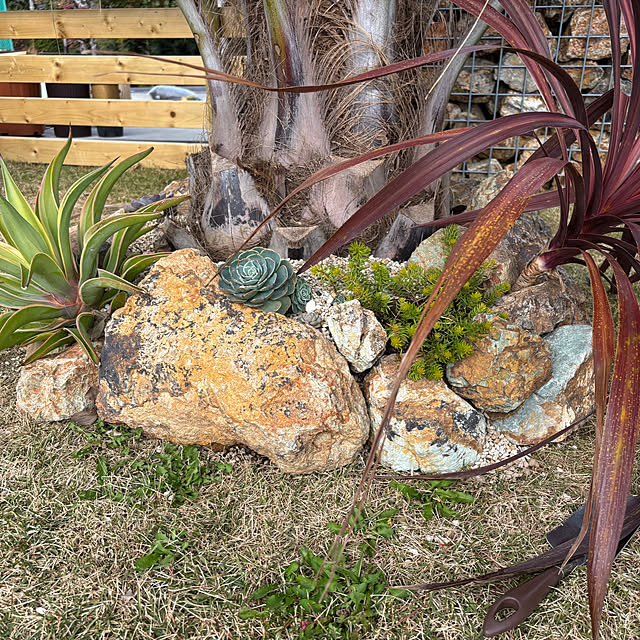 bonber0212さんの実例写真