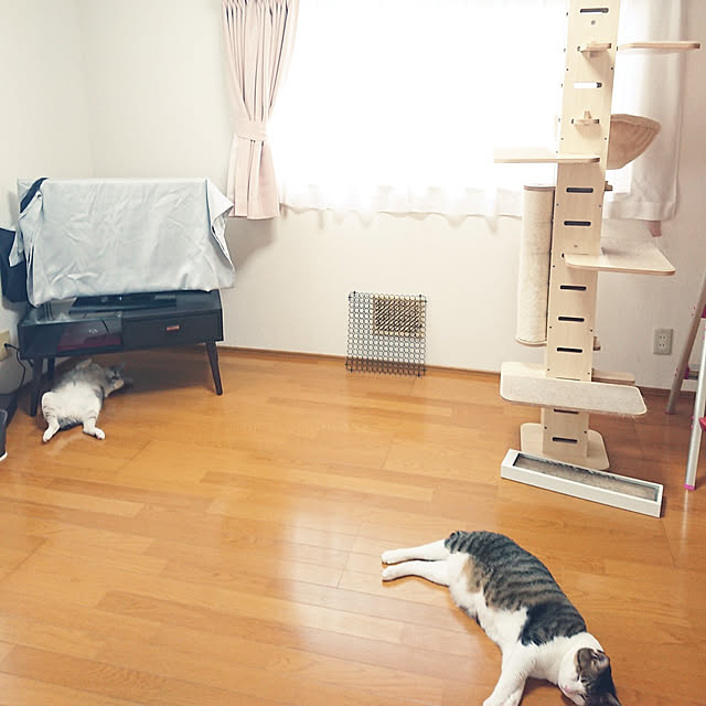 nachiさんの実例写真