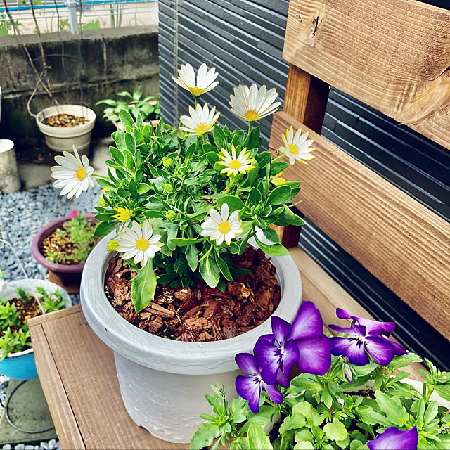 CoCo0617さんの実例写真