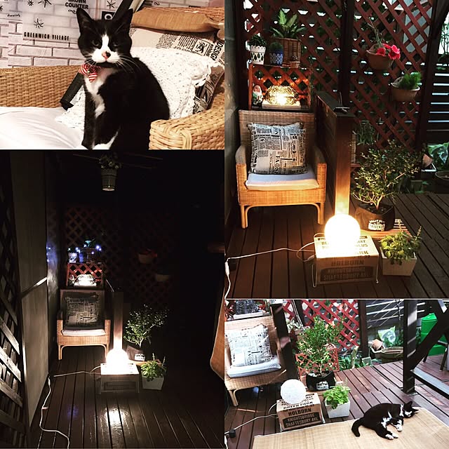 yunaさんの実例写真