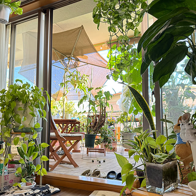 Aqettyさんの部屋