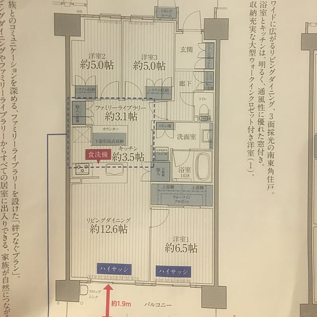 MU3さんの実例写真