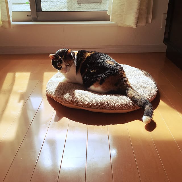 paulsanさんの実例写真