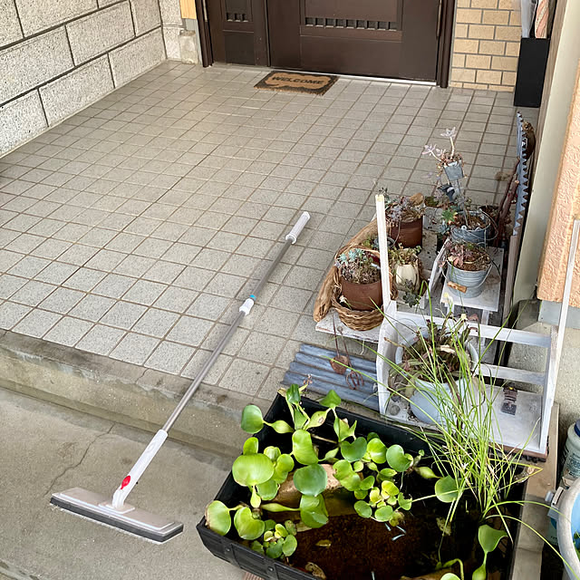 bambiさんの部屋
