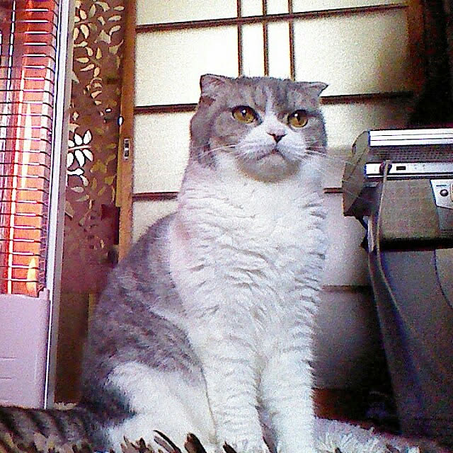 tosi66554さんの実例写真
