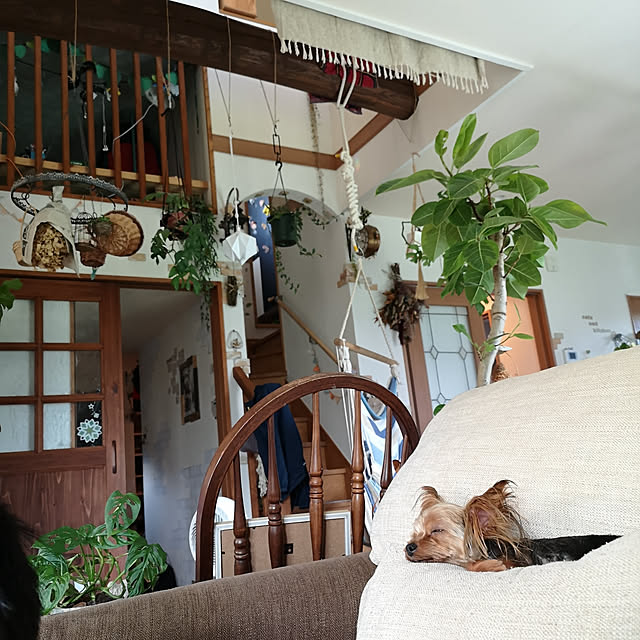 akiさんの実例写真