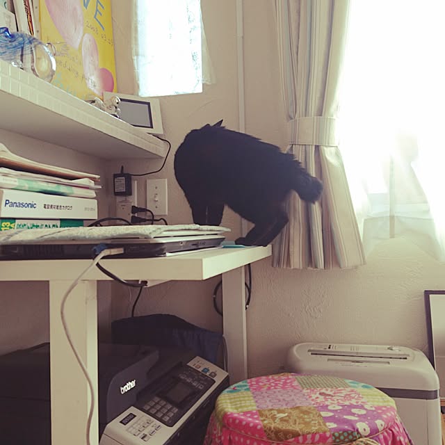 makkiiさんの実例写真