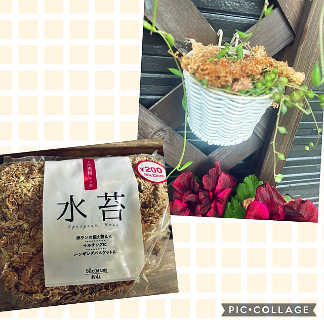 CoCo0617さんの部屋