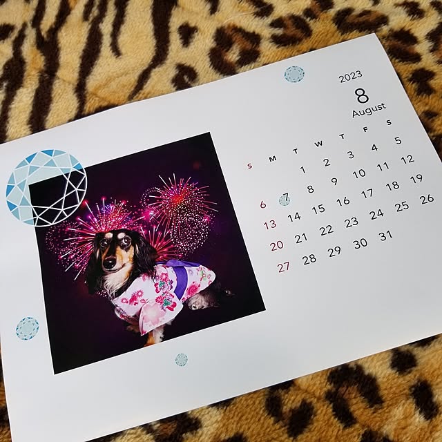 momozouさんの実例写真