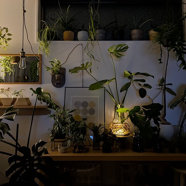 ayamameさんの部屋