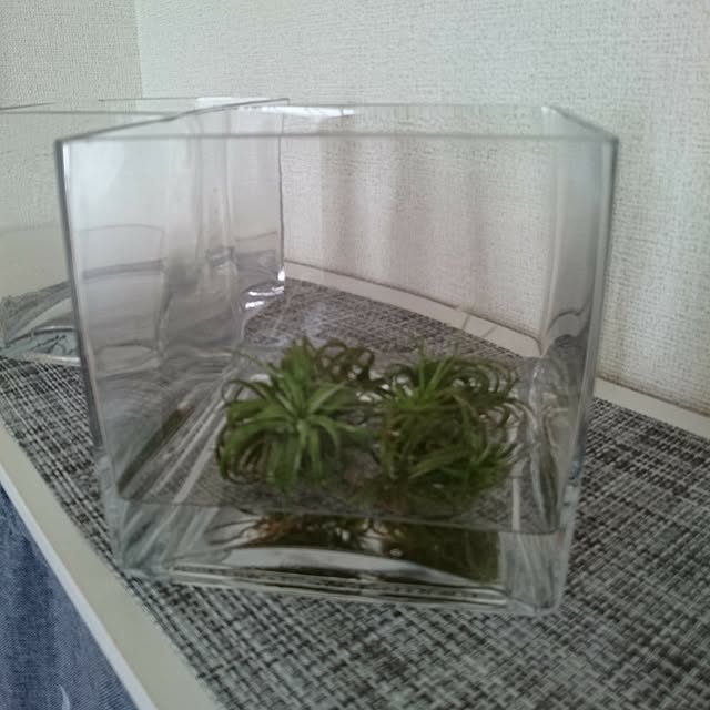 maruさんの実例写真