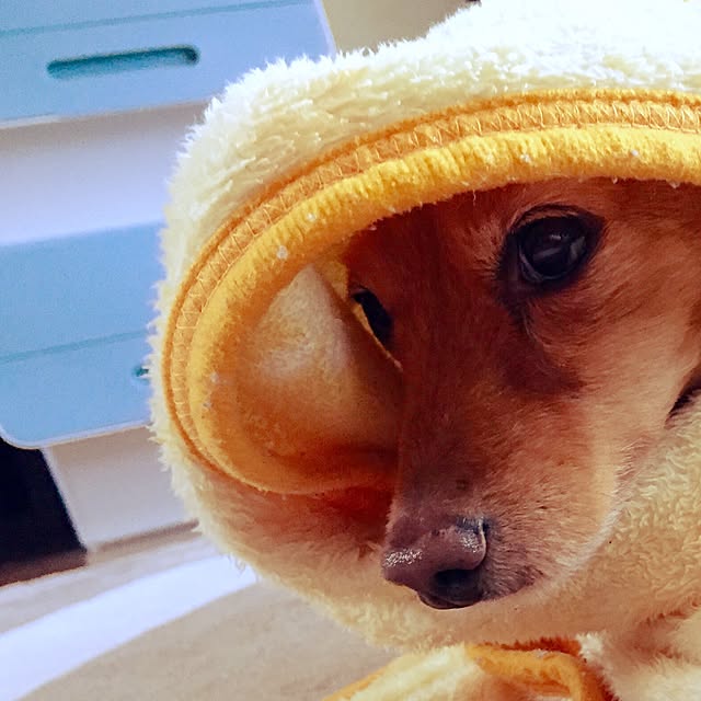 sakuさんの実例写真