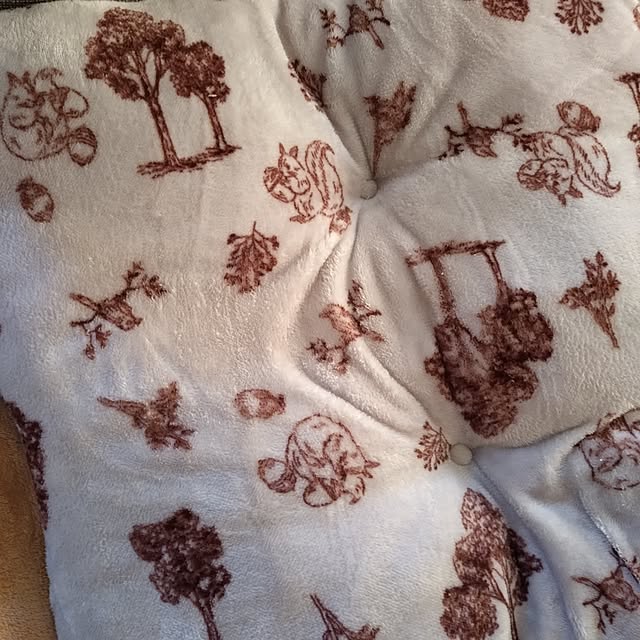 mayutan.さんの部屋