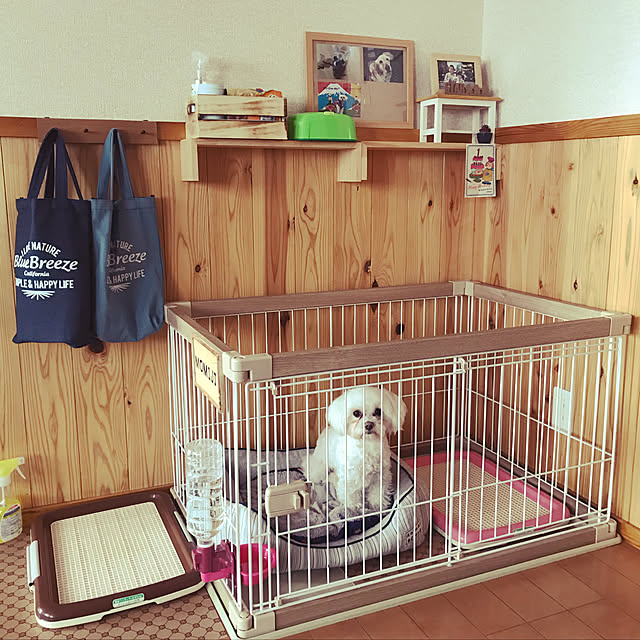 boo-さんの実例写真
