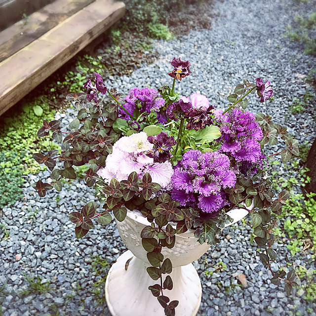portulacaさんの実例写真