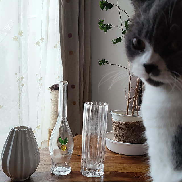 KEIKOさんの実例写真