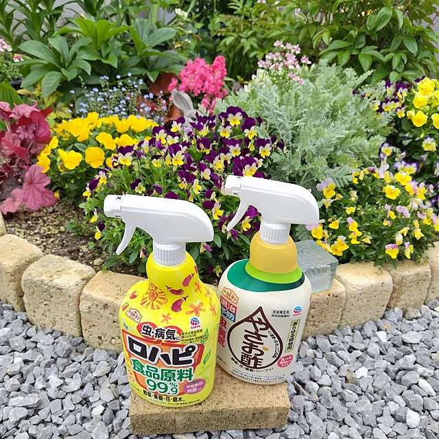 mutsuさんの実例写真