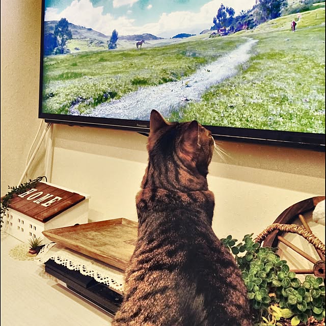 lovecatさんの実例写真