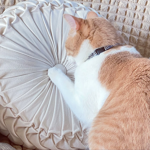 mintteaさんの実例写真