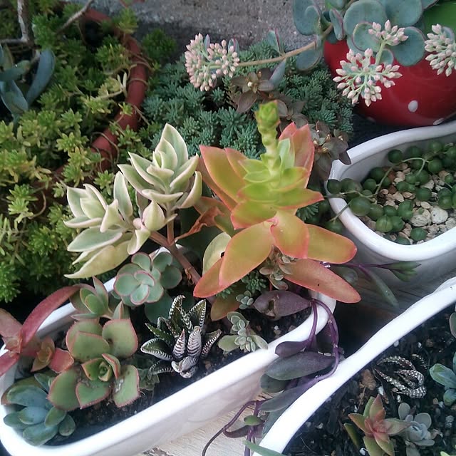 VERANDARJUNさんの実例写真
