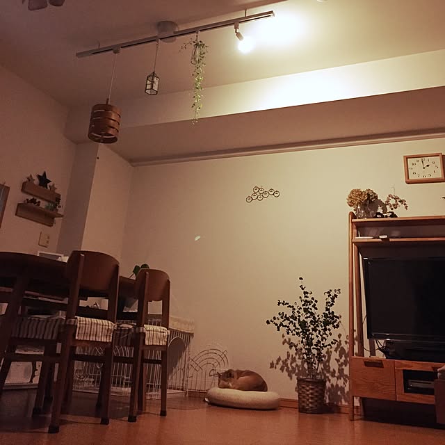 shizu2380さんの実例写真