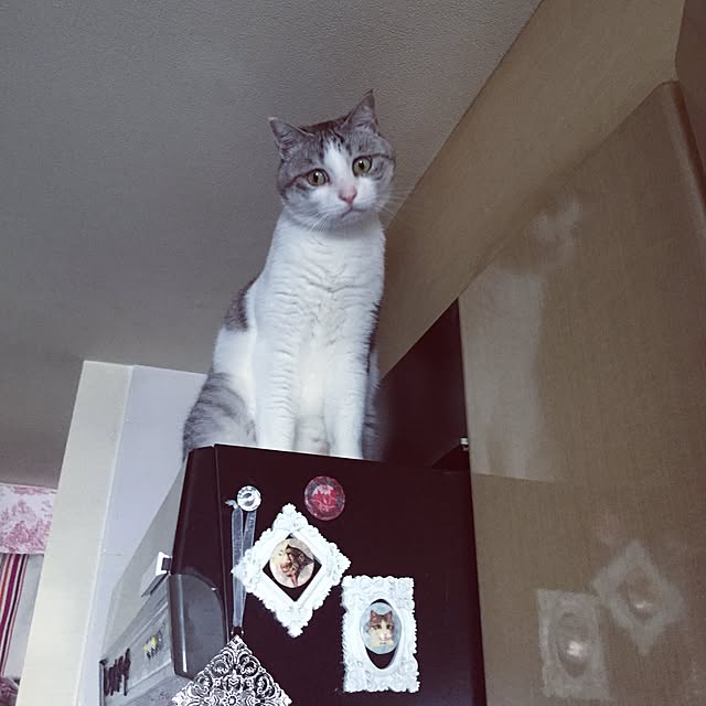 emmyyさんの実例写真