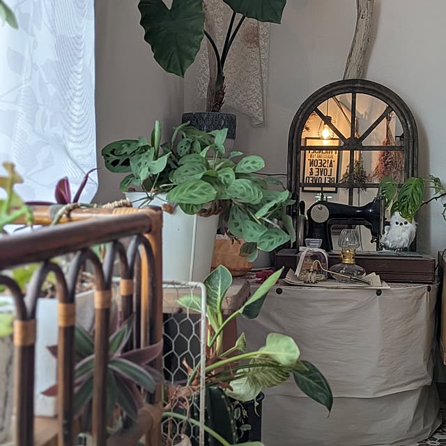 akiさんの実例写真