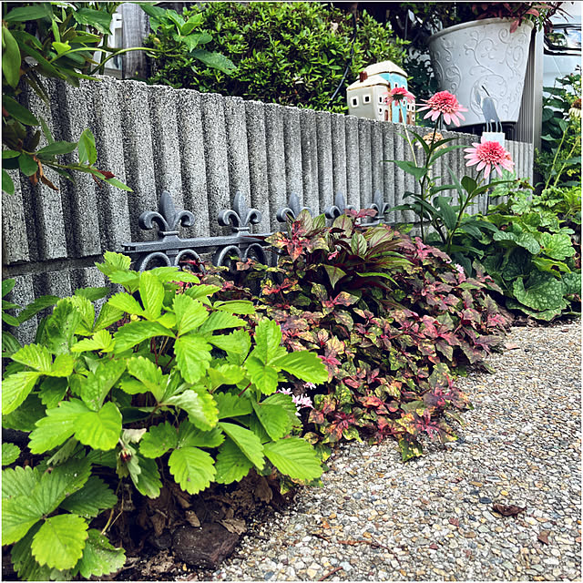 yukarin-gardenさんの部屋