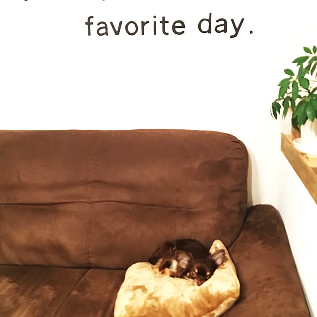 takaさんの実例写真
