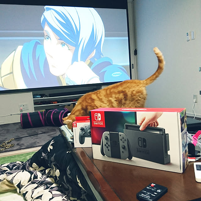 nekomajinさんの実例写真