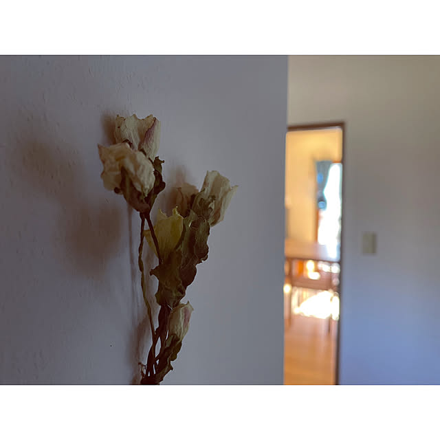 marucoさんの部屋