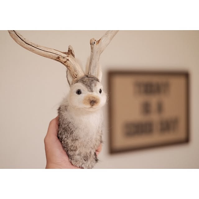 taka55さんの実例写真