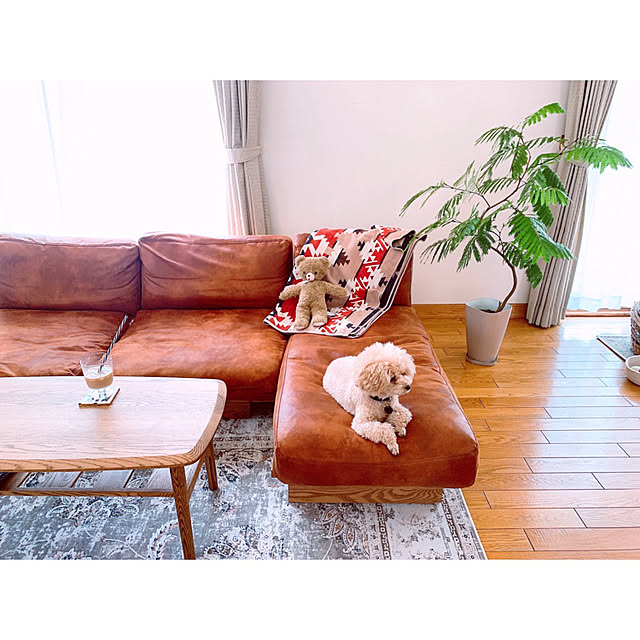 teaさんの実例写真