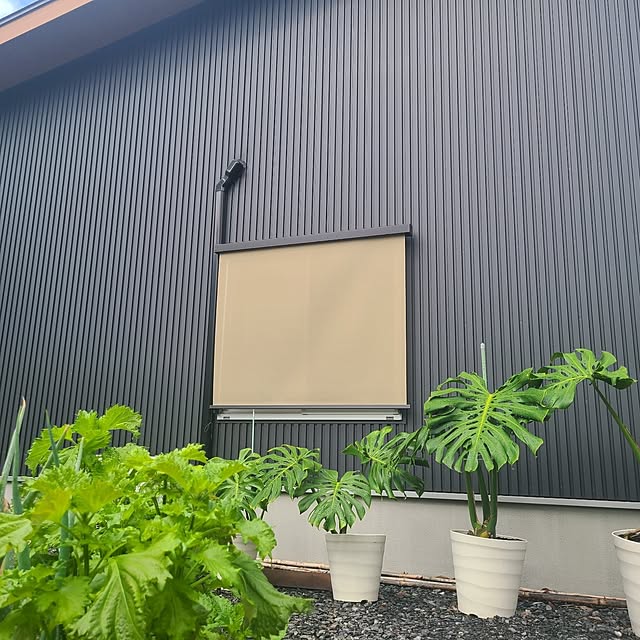 Rubiconさんの部屋
