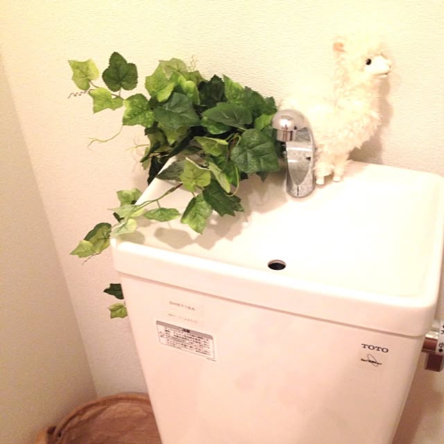 mariさんの実例写真