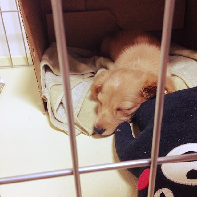 tommy_0172さんの実例写真