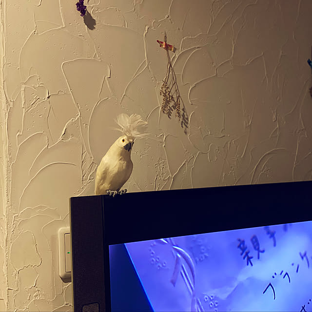 mimimiさんの実例写真