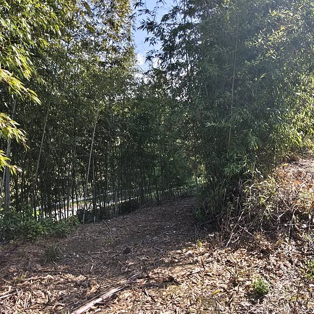 Rubiconさんの部屋