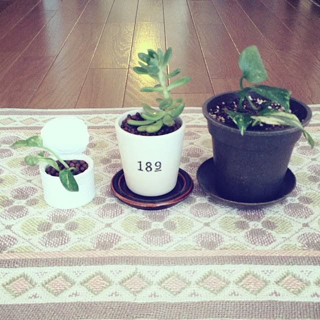 botanさんの実例写真
