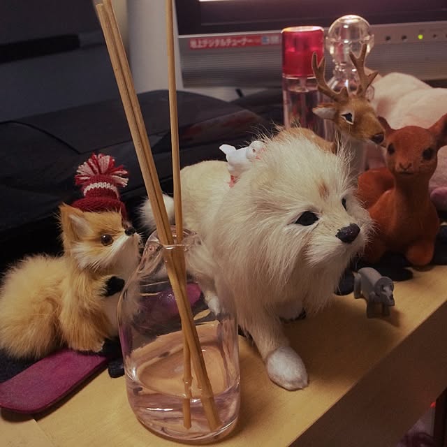 knさんの実例写真